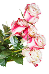 Similar image 7872003