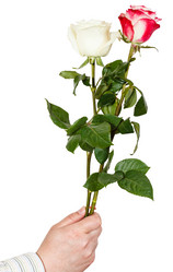 Similar image 7872004