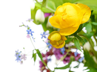 Similar image 7872015