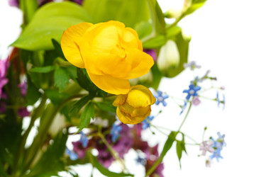 Similar image 7872016