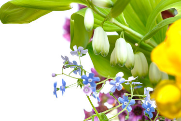 Similar image 7872017