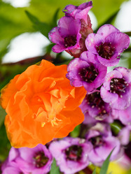 Similar image 7872019