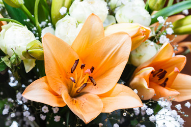 Similar image 7872041