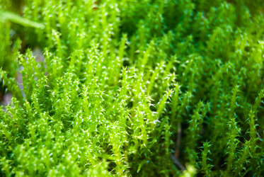 Similar image 7872348