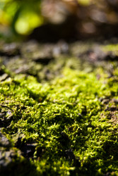 Similar image 7872353