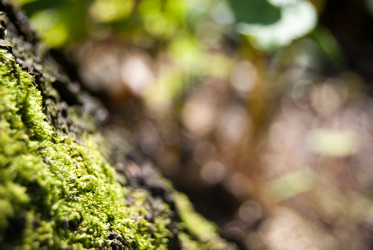 Similar image 7872364