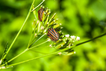 Similar image 7872374