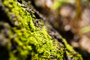 Similar image 7872382