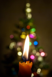 Similar image 7872389