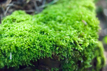 Similar image 7872410