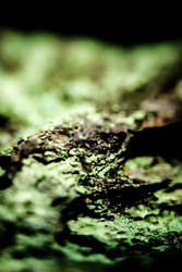 Similar image 7872418