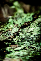 Similar image 7872419