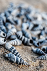 Similar image 7872428