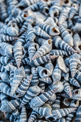 Similar image 7872441