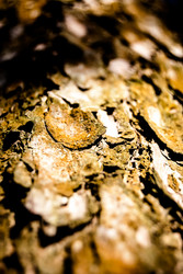 Similar image 7872446