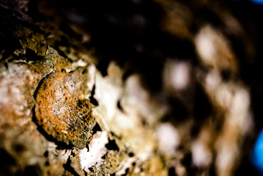 Similar image 7872447