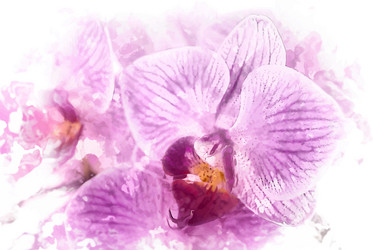 Similar image 7872480