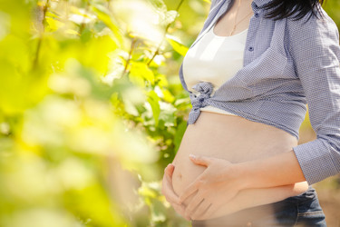 Similar image 7872524