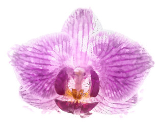 Similar image 7872619