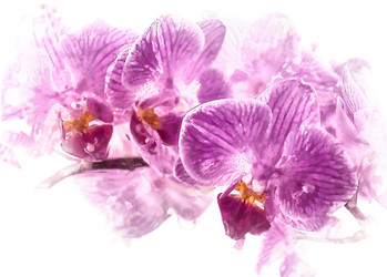 Similar image 7872620