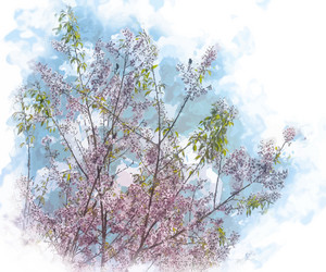 Similar image 7872679