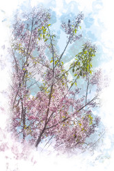 Similar image 7872686