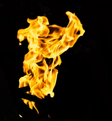 Similar image 7872729