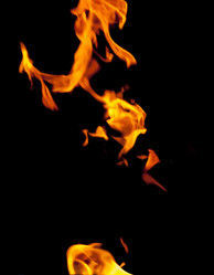 Similar image 7872740