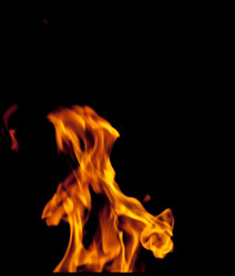 Similar image 7872741