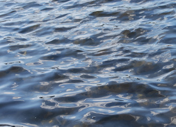 Similar image 7872751