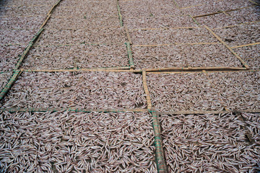 Similar image 7872776