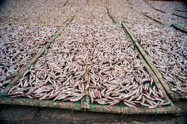 Similar image 7872791