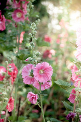 Similar image 7872799