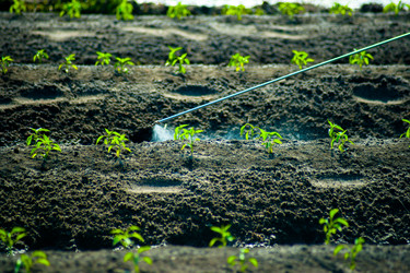 Similar image 7872801