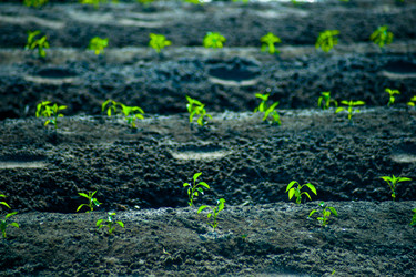 Similar image 7872802