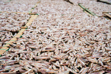 Similar image 7872832