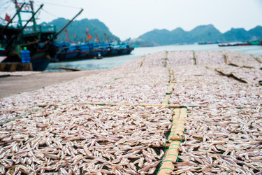 Similar image 7872833