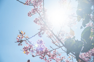 Similar image 7872835