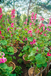 Similar image 7872848