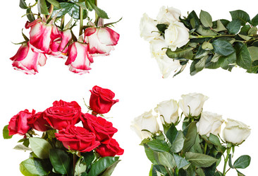 Similar image 7872868