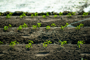 Similar image 7872882