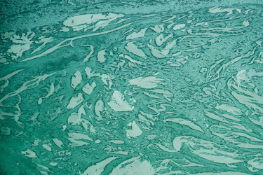 Similar image 7873011