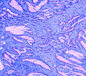 Similar image 7873012