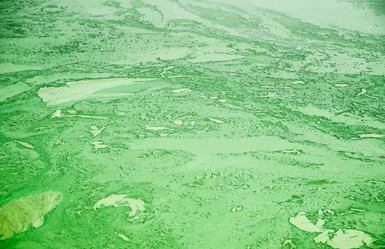 Similar image 7873014