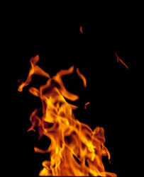 Similar image 7873019