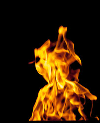 Similar image 7873027