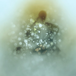 Similar image 7873050