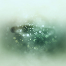 Similar image 7873065