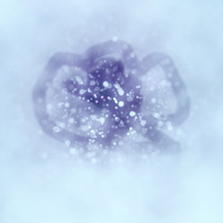 Similar image 7873067