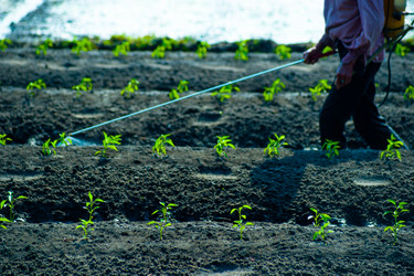 Similar image 7873090